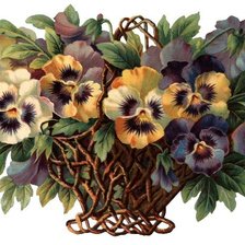 Схема вышивки «Анютины глазки»