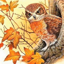 Схема вышивки «Совушка в дупле»