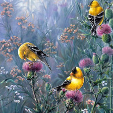 Схема вышивки «птицы»