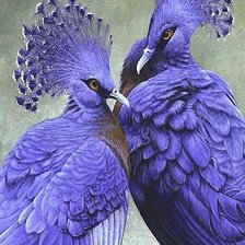 Схема вышивки «птицы»