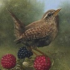 Схема вышивки «птица»