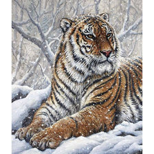 Схема вышивки «TIGRE EN LA NIEVE»
