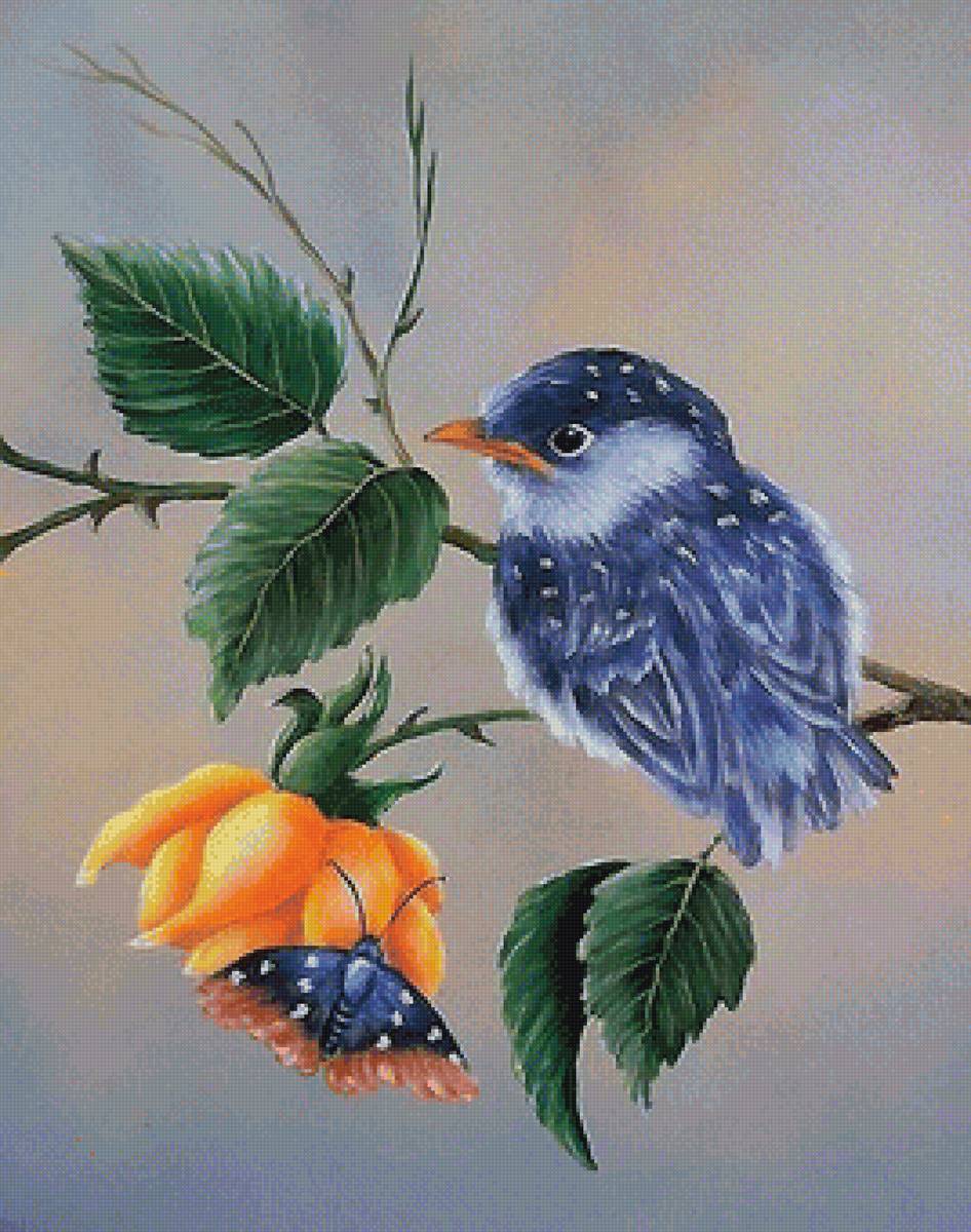 птенец - птицы - предпросмотр