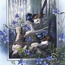 Схема вышивки «птицы»