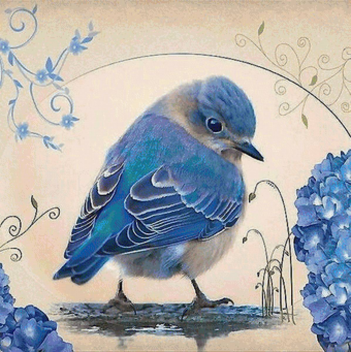 птенец - птицы - предпросмотр