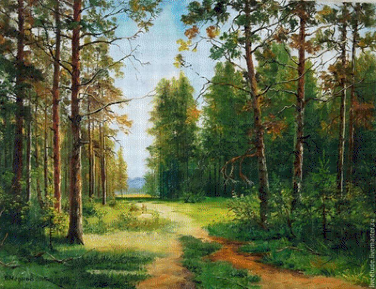 Пейзаж - деревья, пейзаж, лес, лето, тропинка, зелень, природа - предпросмотр