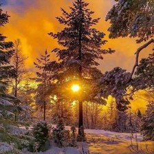 Схема вышивки «зима»