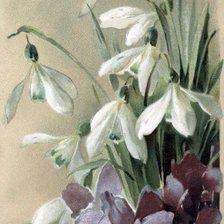 Весенние цветы