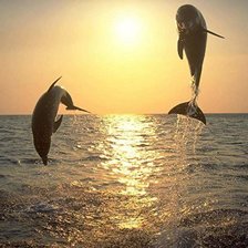 Схема вышивки «Дельфины на закате»