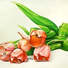 Схема вышивки «тюльпаны»