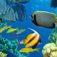 Схема вышивки «Подводный мир»