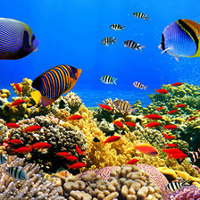 Схема вышивки «Подводный мир»