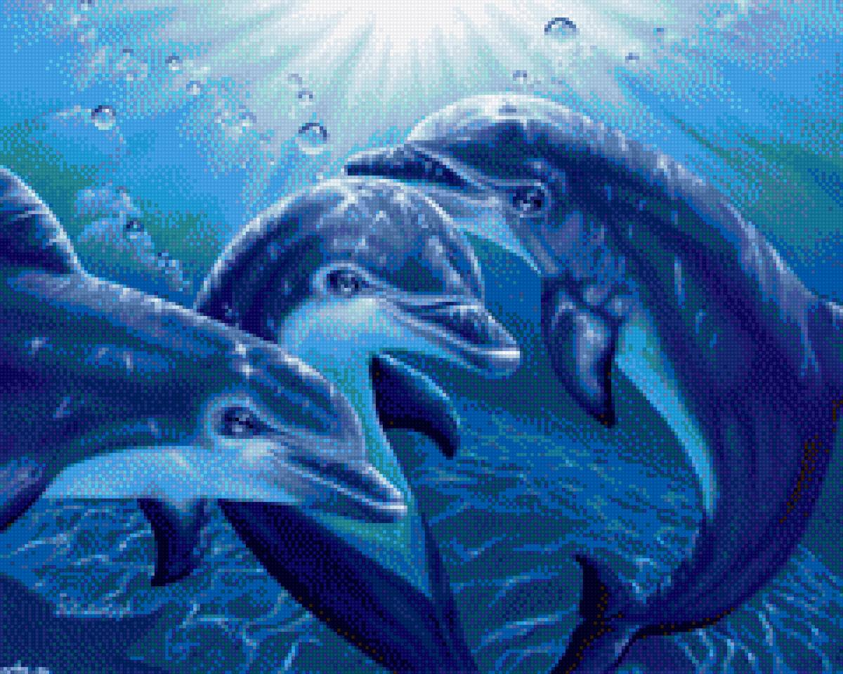 Дельфины - предпросмотр