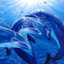 Схема вышивки «Дельфины»