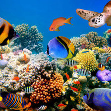 Схема вышивки «Подводный мир»