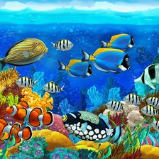 Подводный мир