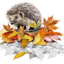 Схема вышивки «Ёжик и осень»