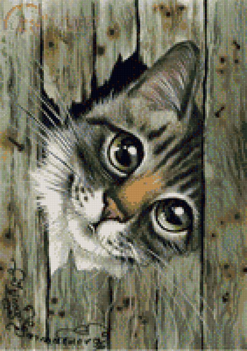 Кот - коты - предпросмотр