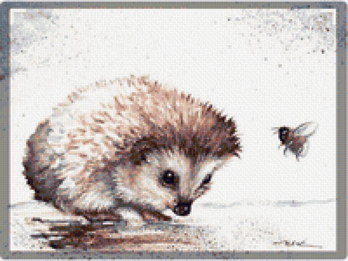 Ёжик и пчела - ежики - предпросмотр