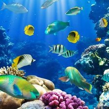 Схема вышивки «Подводный мир»