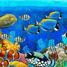 Подводный мир