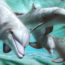 Схема вышивки «Дельфины»