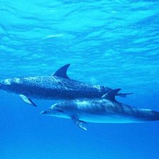 Схема вышивки «Подводный мир»