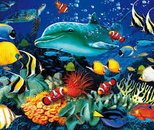 Подводный мир