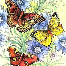 Схема вышивки «MARIPOSAS»