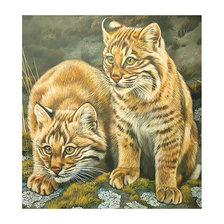 Схема вышивки «Серия "Хищники".»