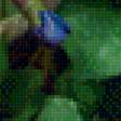 Предпросмотр схемы вышивки «Весенние цветы» (№1862814)