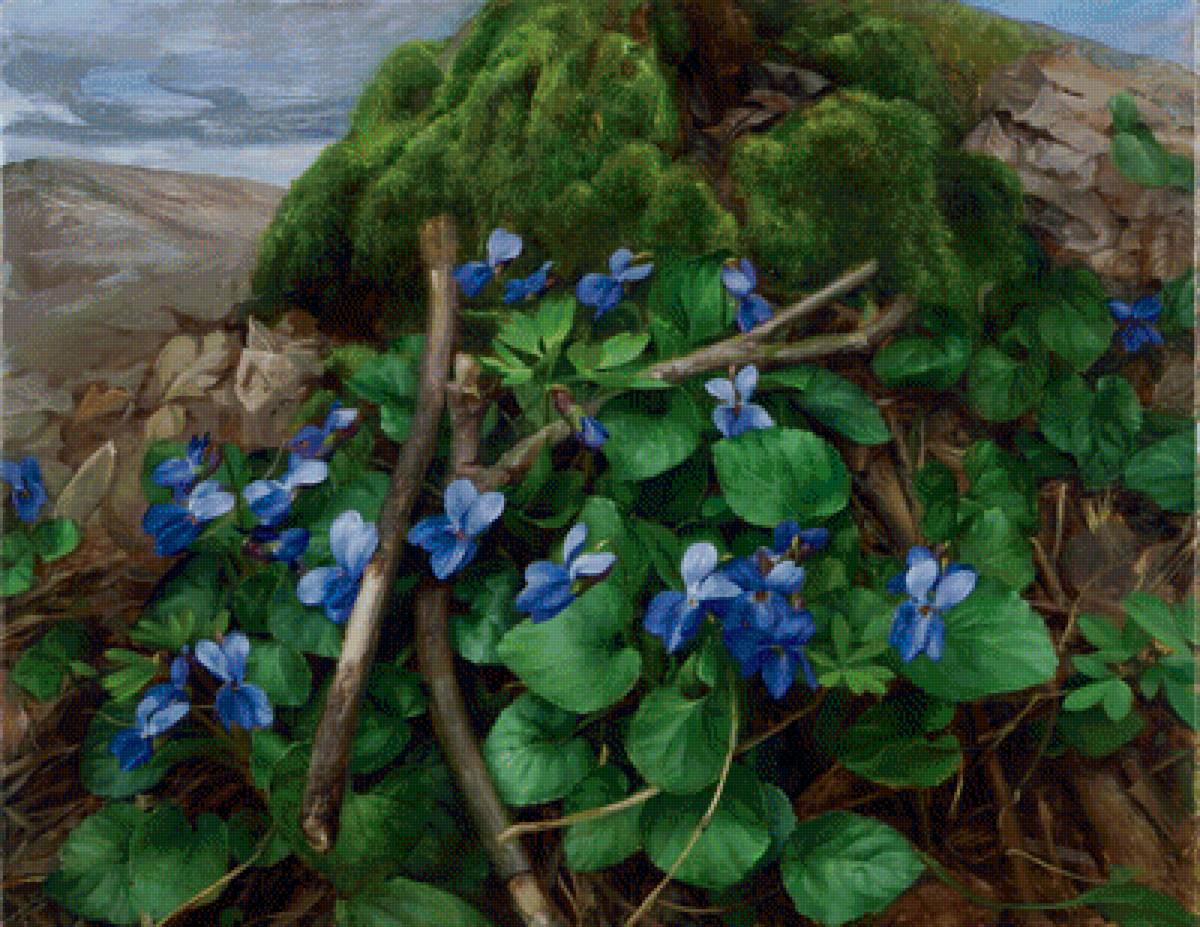 Весенние цветы - весна, природа, фиалки - предпросмотр