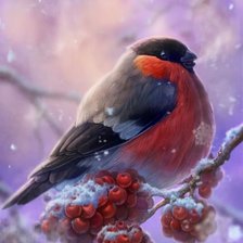 Схема вышивки «снегирь»