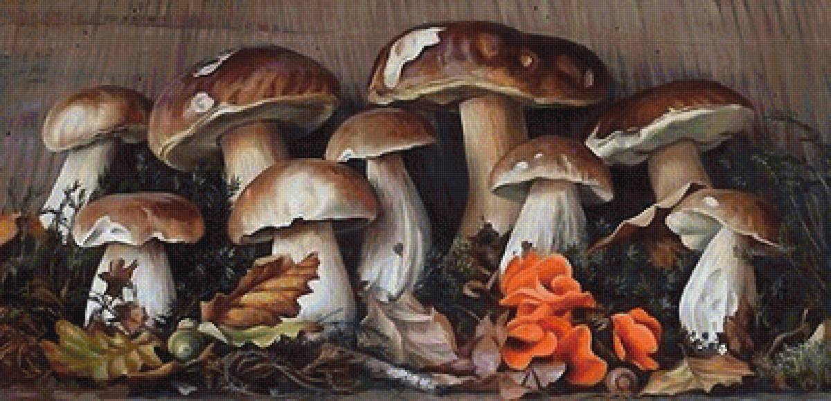 ГРИБОЧКИ - грибы - предпросмотр