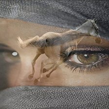 Схема вышивки «Взгляд»