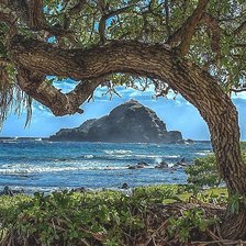 Схема вышивки «природа»