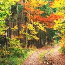 Схема вышивки «осень»