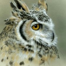 Схема вышивки «Сова»