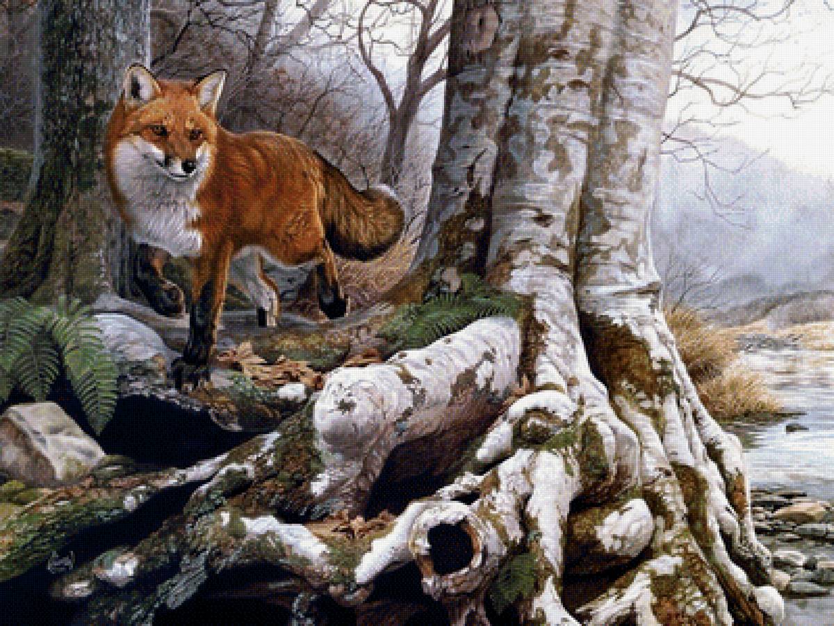 Лиса - звери, животные, природа - предпросмотр