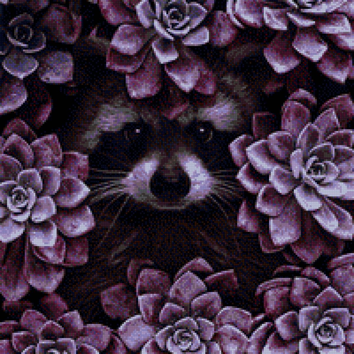 Енот - предпросмотр