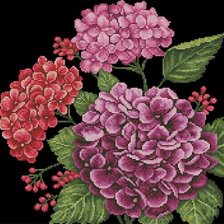 Схема вышивки «гортензия»