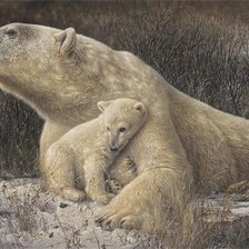 Схема вышивки «№1863527»