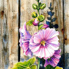 Схема вышивки «мальва»