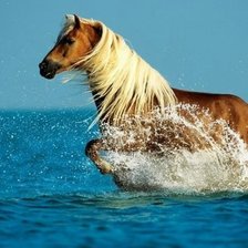 Схема вышивки «Лощадь и море»