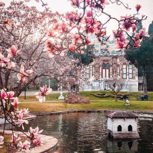 Схема вышивки «Весна в Стамбуле»