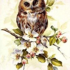 Схема вышивки «Совушка»