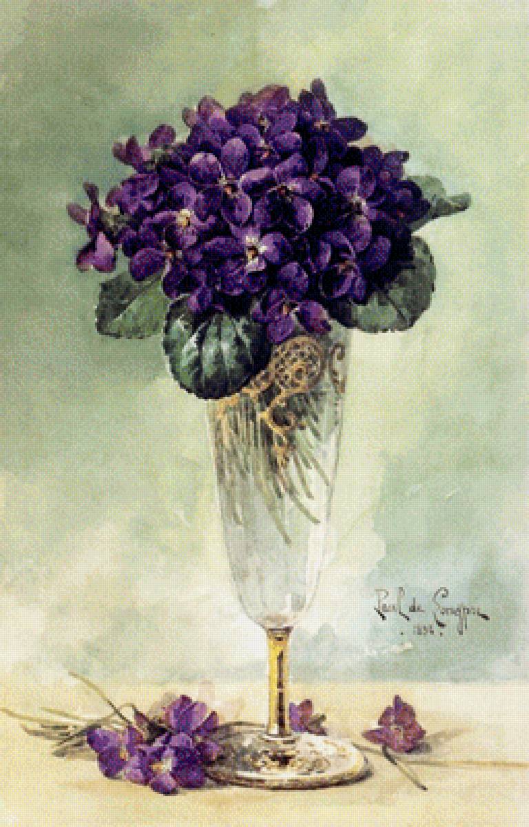 Фиалки - цветы, фиалки, букет - предпросмотр