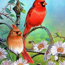 Схема вышивки «Птицы на изгороди»