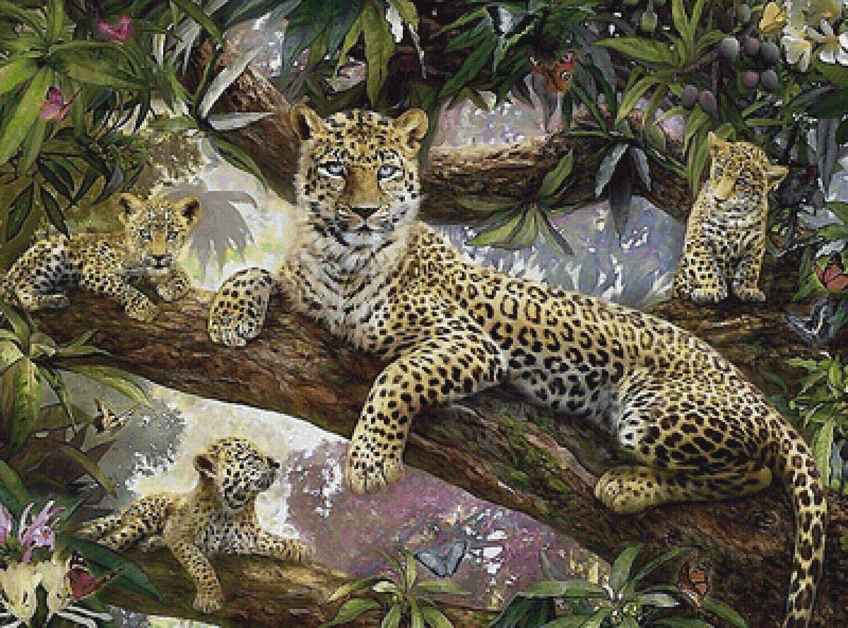 грациозное семейство - мир животных - предпросмотр