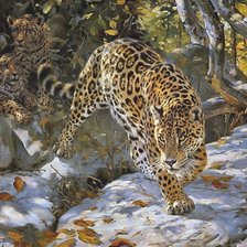 Схема вышивки «ягуары»